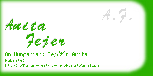 anita fejer business card